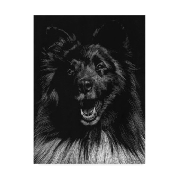 Trademark Fine Art Julie T. Chapman 'Canine Scratchboard Ix' Canvas Art, 14x19 WAG03472-C1419GG